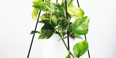 足球防守数据统计图 - 抢断与拦截次数对比